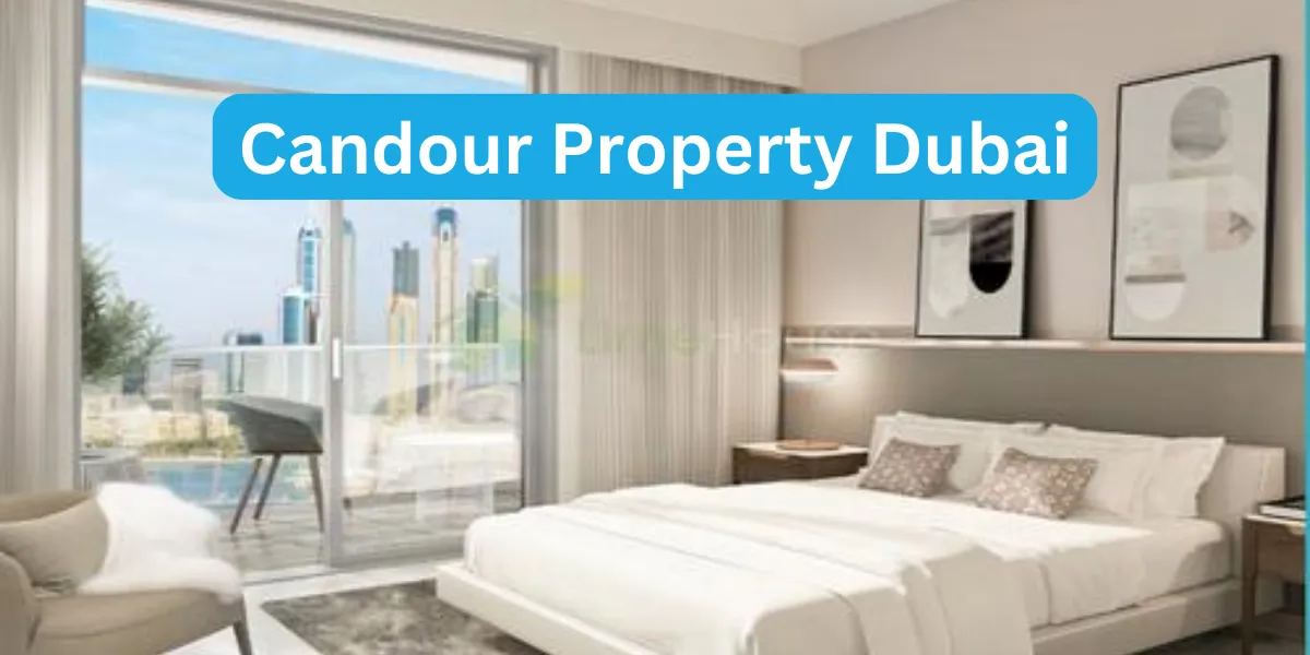 Candour Property Dubai