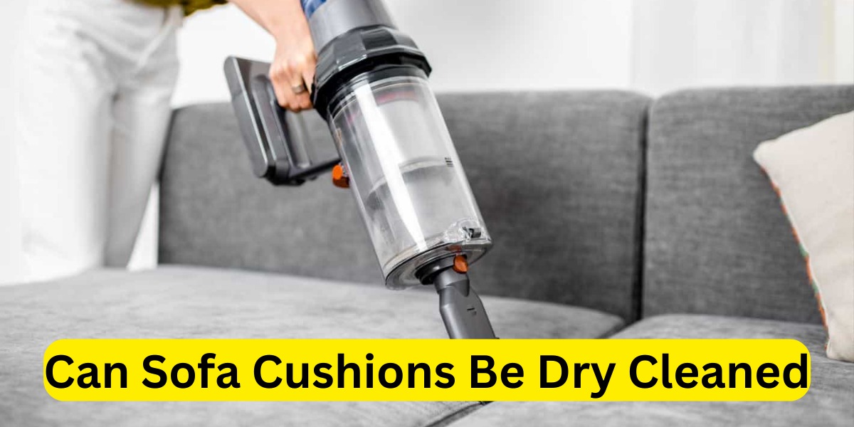 Can Sofa Cushions Be Dry Cleaned: