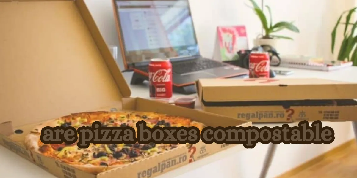 are pizza boxes compostable